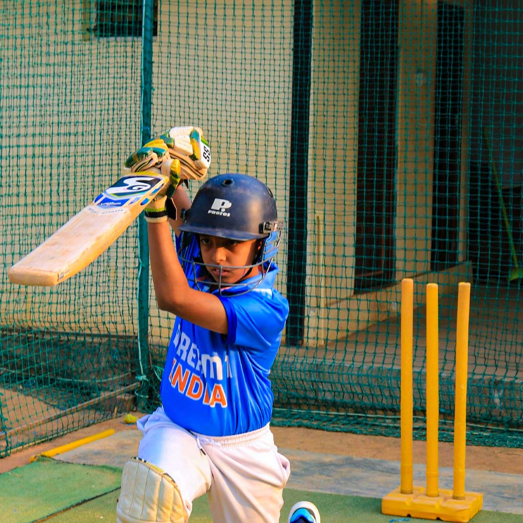 Cricket Net Shweta Bird Net