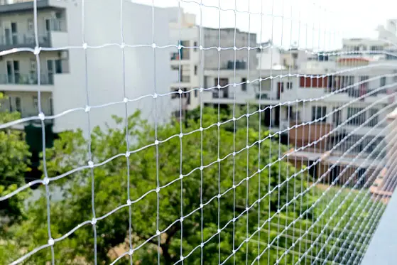 Sweta Bird Net Serivce Img